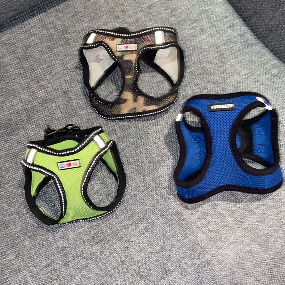 Harness size XS